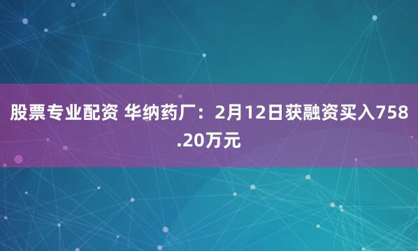 股票专业配资 华纳药厂：2月12日获融资买入758.20万元