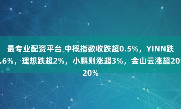 最专业配资平台 中概指数收跌超0.5%，YINN跌1.6%，理想跌超2%，小鹏则涨超3%，金山云涨超20%