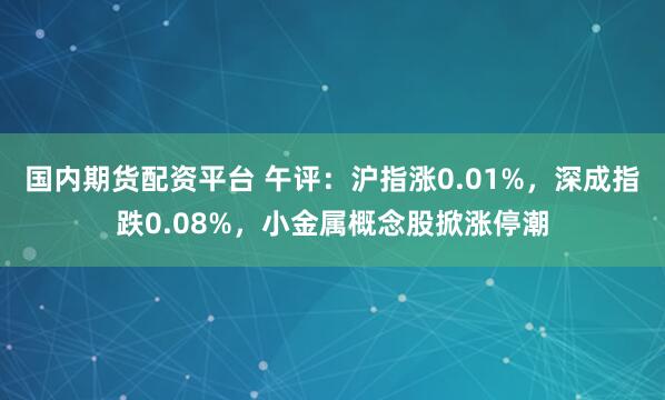 国内期货配资平台 午评：沪指涨0.01%，深成指跌0.08%，小金属概念股掀涨停潮
