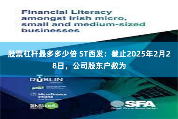 股票杠杆最多多少倍 ST西发：截止2025年2月28日，公司股东户数为