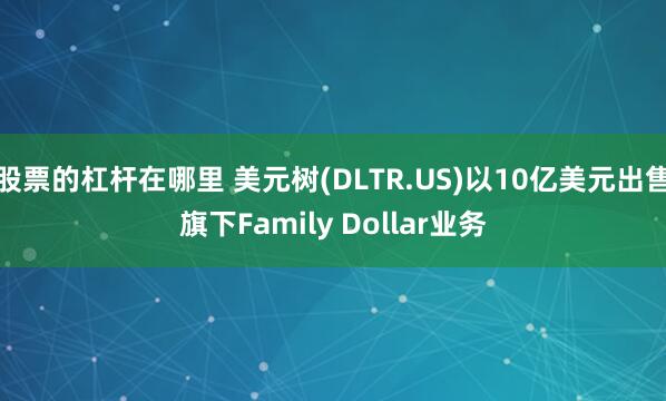 股票的杠杆在哪里 美元树(DLTR.US)以10亿美元出售旗下Family Dollar业务
