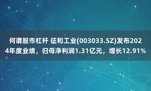 何谓股市杠杆 征和工业(003033.SZ)发布2024年度业绩，归母净利润1.31亿元，增长12.91%