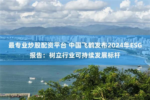 最专业炒股配资平台 中国飞鹤发布2024年ESG报告：树立行业可持续发展标杆