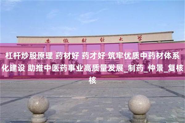 杠杆炒股原理 药材好 药才好 筑牢优质中药材体系化建设 助推中医药事业高质量发展_制药_仲景_复核