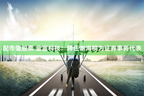 配市值股票 金富科技：聘任谢海桐为证券事务代表