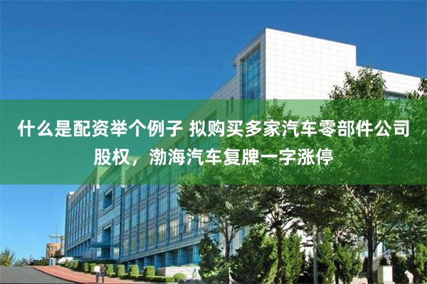 什么是配资举个例子 拟购买多家汽车零部件公司股权，渤海汽车复牌一字涨停