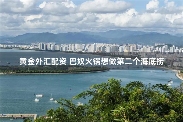 黄金外汇配资 巴奴火锅想做第二个海底捞