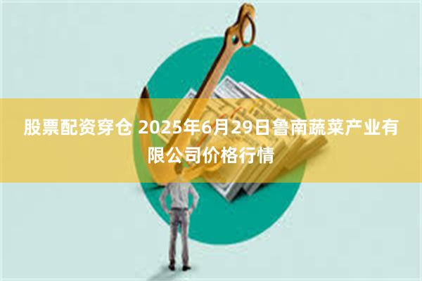 股票配资穿仓 2025年6月29日鲁南蔬菜产业有限公司价格行情