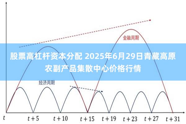 股票高杠杆资本分配 2025年6月29日青藏高原农副产品集散中心价格行情