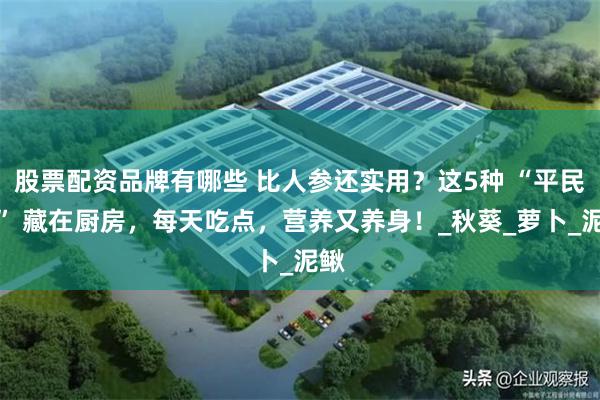 股票配资品牌有哪些 比人参还实用？这5种 “平民参” 藏在厨房，每天吃点，营养又养身！_秋葵_萝卜_泥鳅
