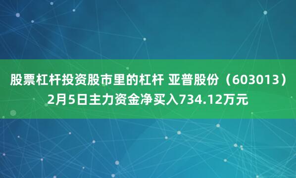 股票杠杆投资股市里的杠杆 亚普股份（603013）2月5日主力资金净买入734.12万元