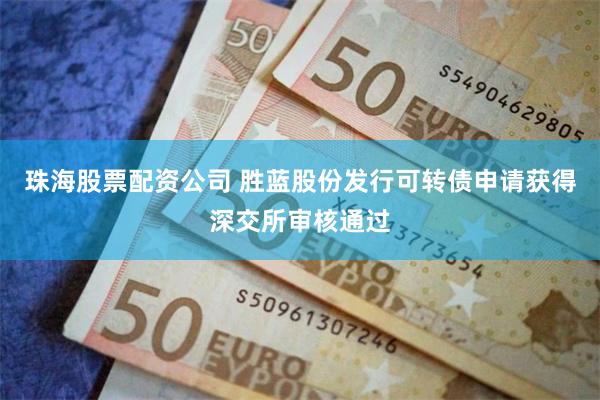 珠海股票配资公司 胜蓝股份发行可转债申请获得深交所审核通过