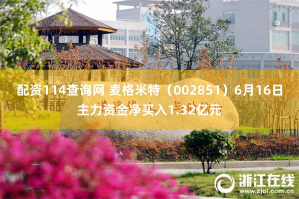 配资114查询网 麦格米特（002851）6月16日主力资金净买入1.32亿元