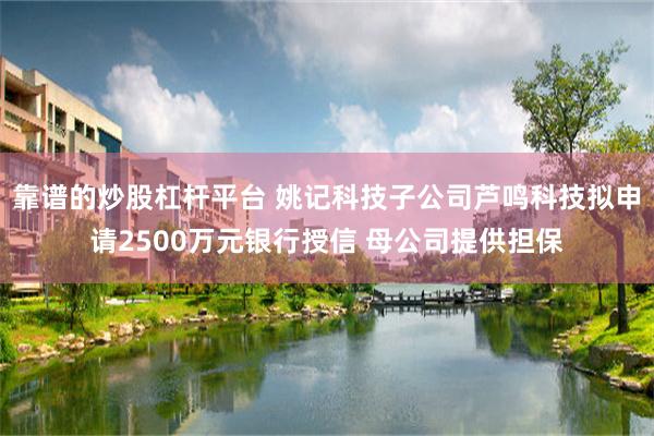 靠谱的炒股杠杆平台 姚记科技子公司芦鸣科技拟申请2500万元银行授信 母公司提供担保