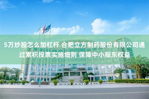 5万炒股怎么加杠杆 合肥立方制药股份有限公司通过累积投票实施细则 保障中小股东权益