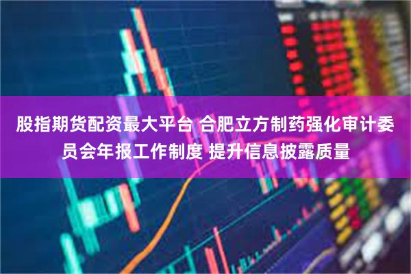 股指期货配资最大平台 合肥立方制药强化审计委员会年报工作制度 提升信息披露质量