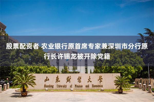 股票配资者 农业银行原首席专家兼深圳市分行原行长许锡龙被开除党籍