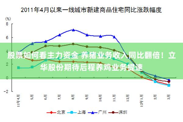 股票如何看主力资金 养猪业务收入同比翻倍!立华股份期待后程养鸡业务提速