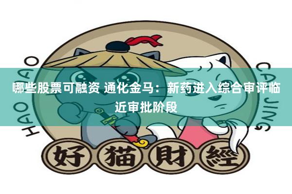 哪些股票可融资 通化金马：新药进入综合审评临近审批阶段