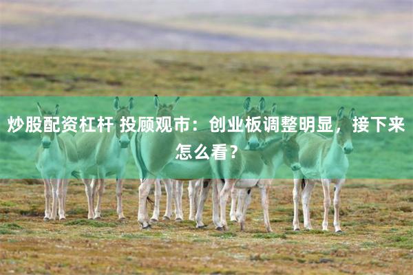 炒股配资杠杆 投顾观市：创业板调整明显，接下来怎么看？