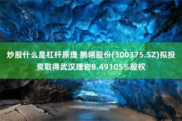 炒股什么是杠杆原理 鹏翎股份(300375.SZ)拟投资取得武汉理岩8.49105%股权