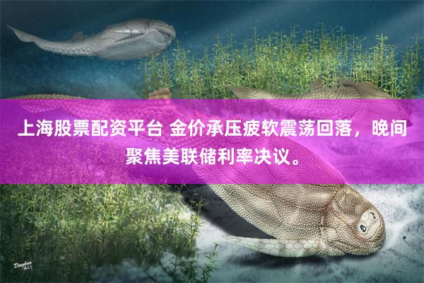 上海股票配资平台 金价承压疲软震荡回落，晚间聚焦美联储利率决议。