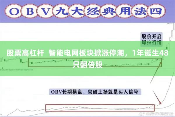 股票高杠杆  智能电网板块掀涨停潮，1年诞生48只翻倍股