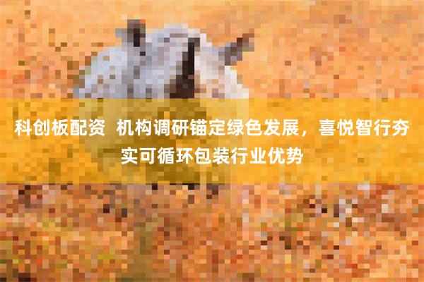 科创板配资 机构调研锚定绿色发展,喜悦智行夯实可循环包装行业优势