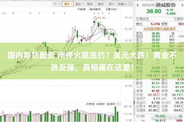 国内期货配资 刚停火就违约？美元大跌！黄金不跌反强，真相藏在这里！