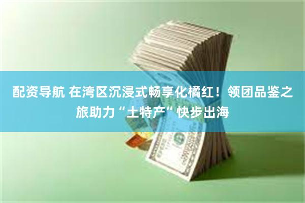配资导航 在湾区沉浸式畅享化橘红！领团品鉴之旅助力“土特产”快步出海