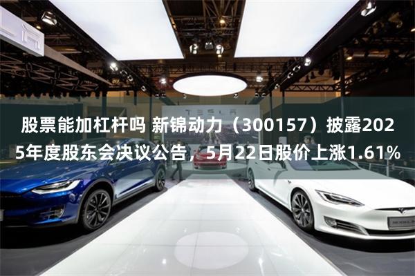 股票能加杠杆吗 新锦动力（300157）披露2025年度股东会决议公告，5月22日股价上涨1.61%
