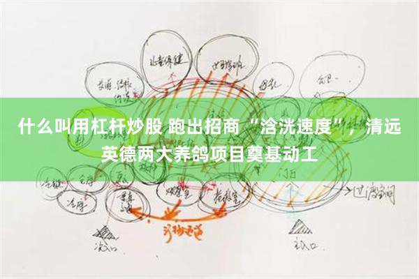 什么叫用杠杆炒股 跑出招商 “浛洸速度”，清远英德两大养鸽项目奠基动工