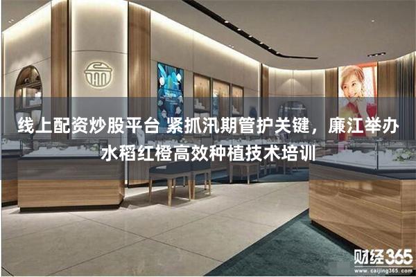 线上配资炒股平台 紧抓汛期管护关键，廉江举办水稻红橙高效种植技术培训