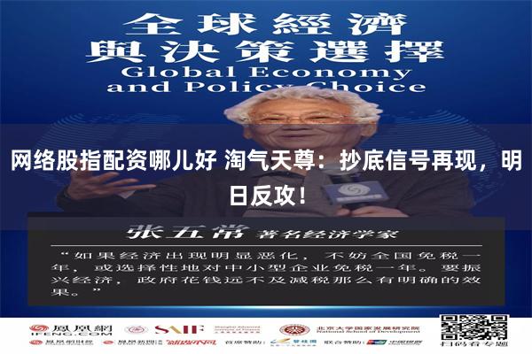网络股指配资哪儿好 淘气天尊：抄底信号再现，明日反攻！