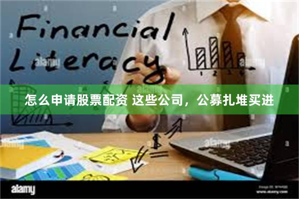 怎么申请股票配资 这些公司，公募扎堆买进