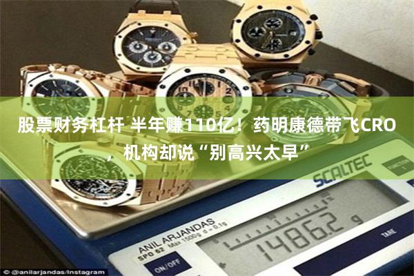 股票财务杠杆 半年赚110亿！药明康德带飞CRO，机构却说“别高兴太早”