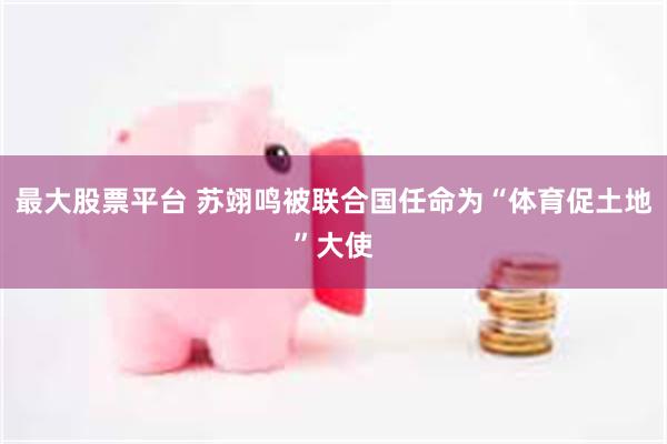 最大股票平台 苏翊鸣被联合国任命为“体育促土地”大使