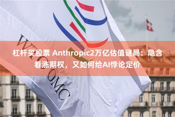 杠杆买股票 Anthropic2万亿估值谜局：隐含看涨期权，又如何给AI悖论定价