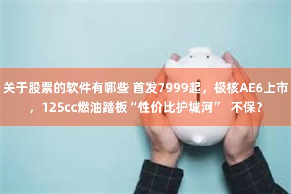 关于股票的软件有哪些 首发7999起，极核AE6上市，125cc燃油踏板“性价比护城河”  不保？