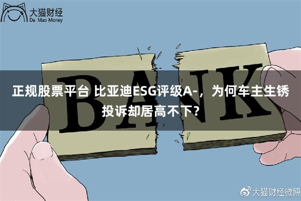正规股票平台 比亚迪ESG评级A-，为何车主生锈投诉却居高不下？