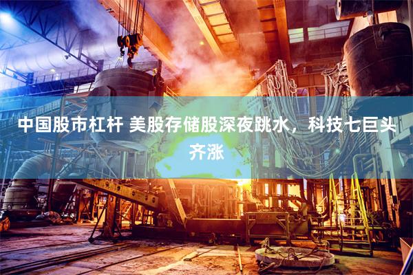 中国股市杠杆 美股存储股深夜跳水，科技七巨头齐涨