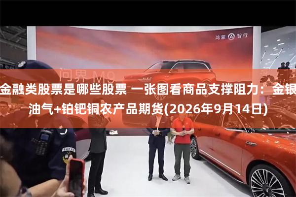 金融类股票是哪些股票 一张图看商品支撑阻力：金银油气+铂钯铜农产品期货(2026年9月14日)