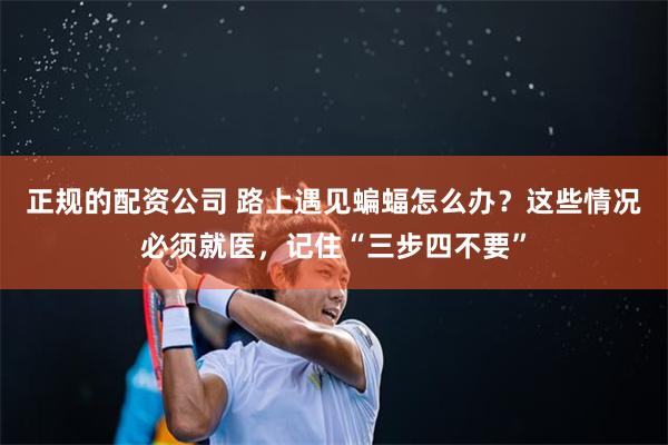 正规的配资公司 路上遇见蝙蝠怎么办？这些情况必须就医，记住“三步四不要”