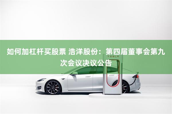 如何加杠杆买股票 浩洋股份：第四届董事会第九次会议决议公告