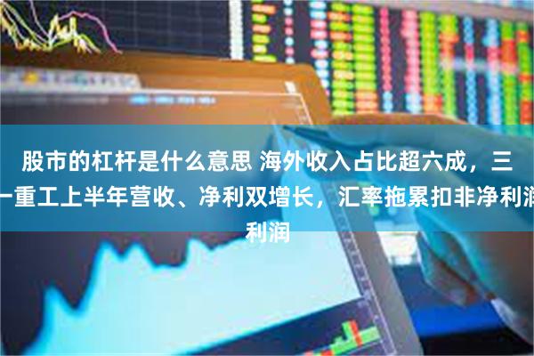 股市的杠杆是什么意思 海外收入占比超六成，三一重工上半年营收、净利双增长，汇率拖累扣非净利润