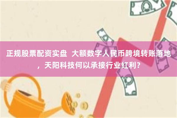 正规股票配资实盘  大额数字人民币跨境转账落地，天阳科技何以承接行业红利？