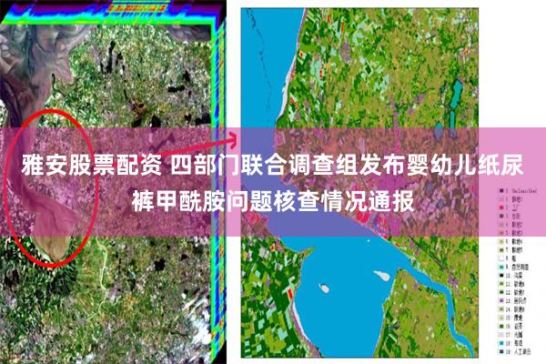 雅安股票配资 四部门联合调查组发布婴幼儿纸尿裤甲酰胺问题核查情况通报